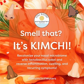 Kimchi for Sinus Health: How to Recolonize Your Nose Naturally with Lactobacillus sakei