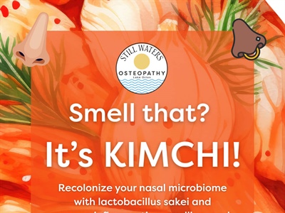 Kimchi for Sinus Health: How to Recolonize Your Nose Naturally with Lactobacillus sakei